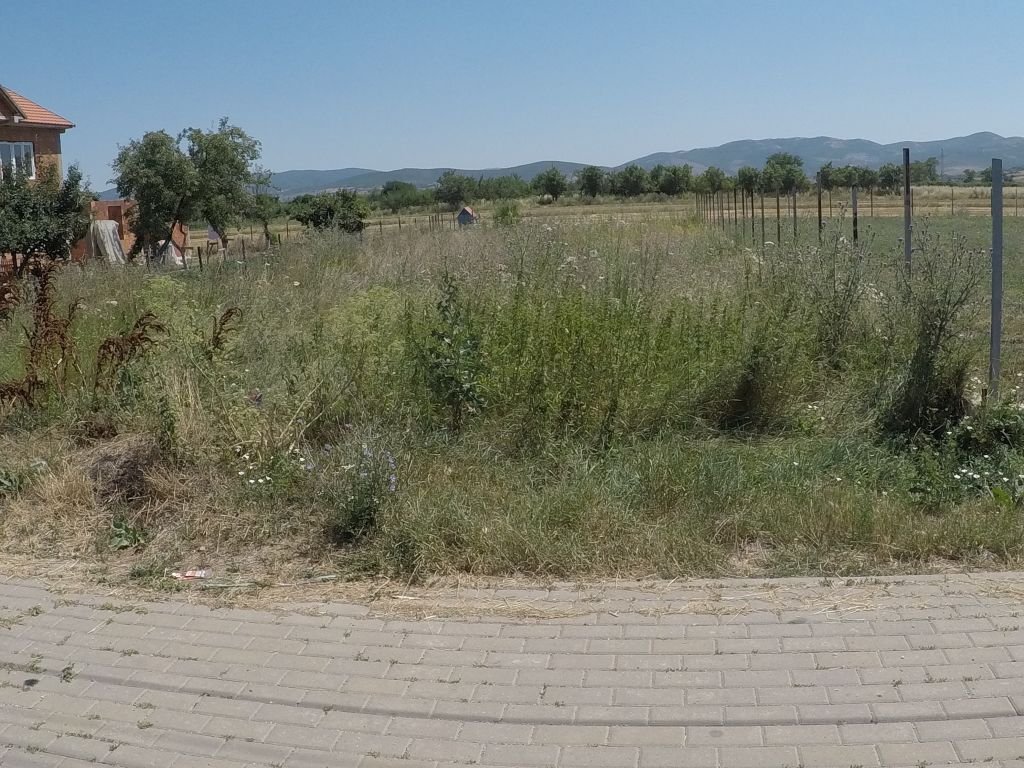 Land